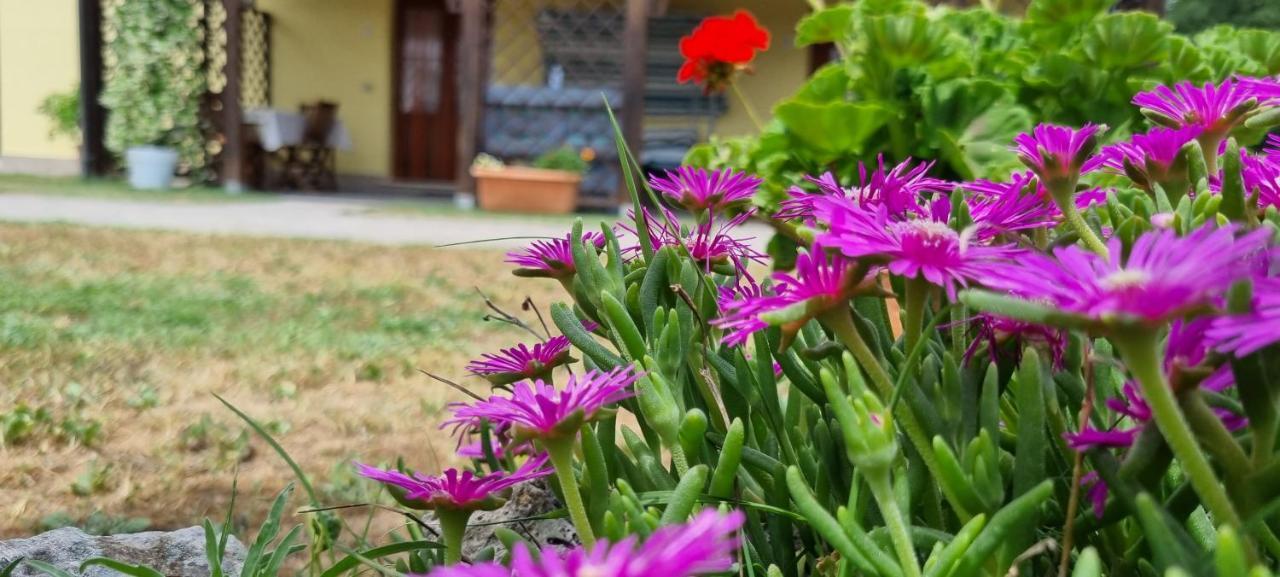 Il Fontanile Vendégház Sovana Kültér fotó
